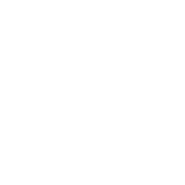 SOL Floral Boutique existing logo